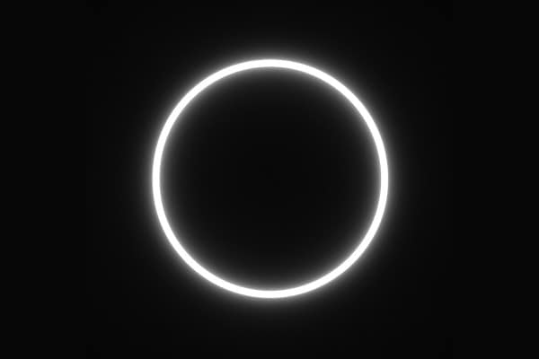 Featured Image Without Sidebar Featured Image Without Sidebar